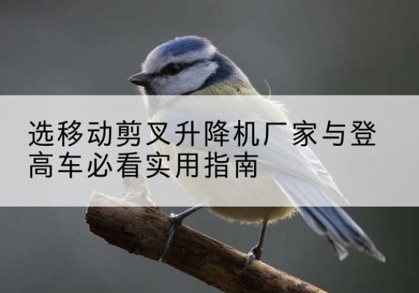 市中电动升降机厂家-选移动剪叉升降机厂家与登高车必看实用指南